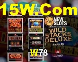 Experiência VIP W78